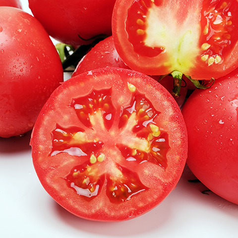 Tomato Pro... 